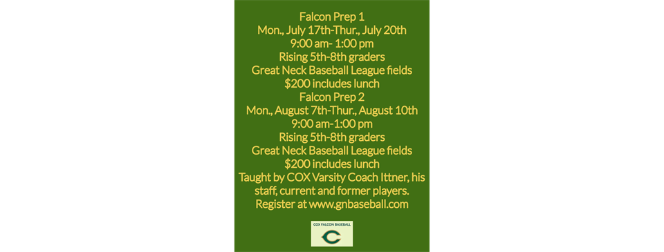 Cox Falcon prep Middle school camp