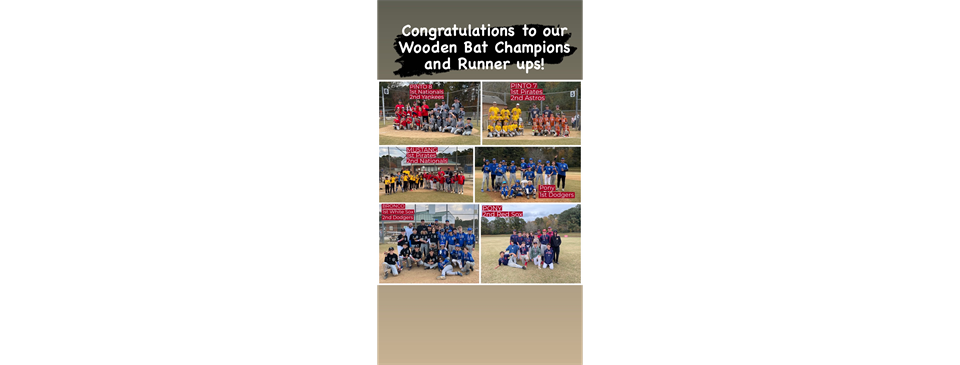 Congratulations to the Wooden Bat Champions!